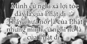 xa loi toc