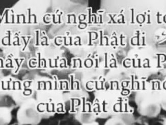 xa loi toc